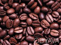 Уганда 
считается исторической родиной кофе робуста. Робуста из этой страны счи. . фото 3