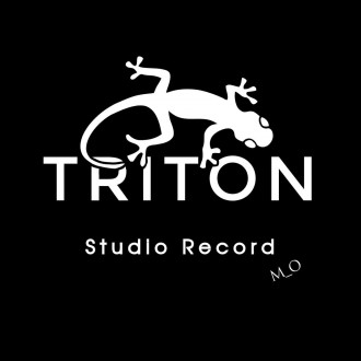 Всем привет дорогие друзья, студия звукозаписи "Triton" рада вас приве. . фото 2