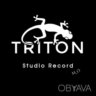 Всем привет дорогие друзья, студия звукозаписи "Triton" рада вас приве. . фото 1