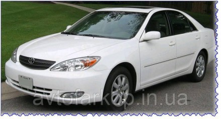 Защита двигателя для автомобиля:
Lexus ES 350 (2007-2011) Кольчуга
	
	
	Защищает. . фото 13