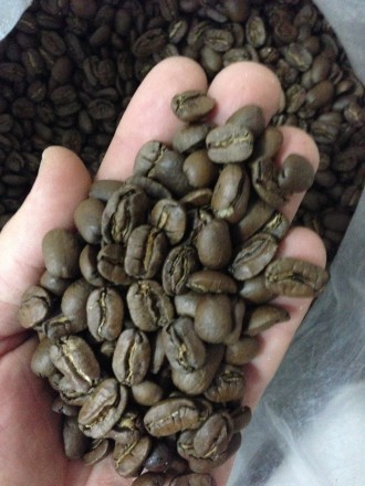 География и климат произрастания кофе Арабика Никарагуа Марагоджип
Плантационны. . фото 3