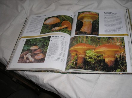Продаю новую большую цветную энциклопедию грибов.И их подробное описание.. . фото 4