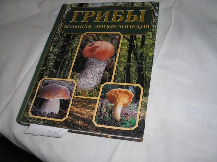 Продаю новую большую цветную энциклопедию грибов.И их подробное описание.. . фото 2
