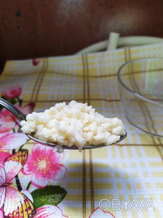 Тибетский молочный гриб / живая закваска для кефира