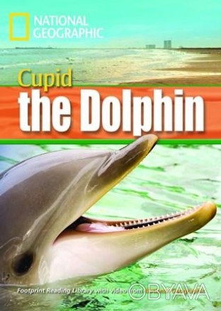 Footprint Reading Library 1600 B1 Cupid the Dolphin
 Дельфіни - це розумні твари. . фото 1