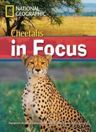 Footprint Reading Library 2200 B2 Cheetahs in Focus! with Multi-ROM
 Команда Nat. . фото 1