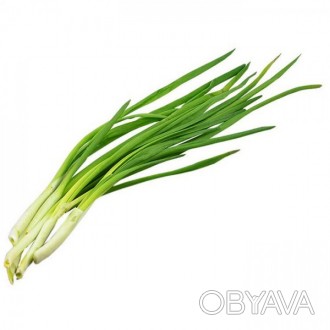  Молодой, зеленый лук - чрезвычайно полезный продукт. Он имеет больше питательны. . фото 1