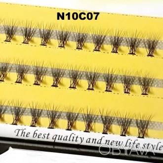 
Безузелковые пучковые ресницы Nesura Premium 10D изгиб C
 
Сегодня наращивание . . фото 1