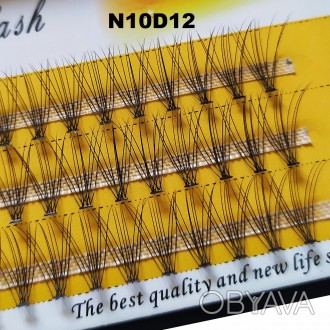 
Безузелковые пучковые ресницы Nesura Premium 10D изгиб D
 
Сегодня наращивание . . фото 1