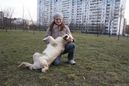 Гостиница для собак в Киеве на время отсутствия владельца, передержка, пансион. . . фото 5