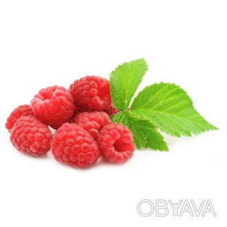  Ароматная ягода малины – это целый сбор в одном продукте полезных свойств, непо. . фото 1