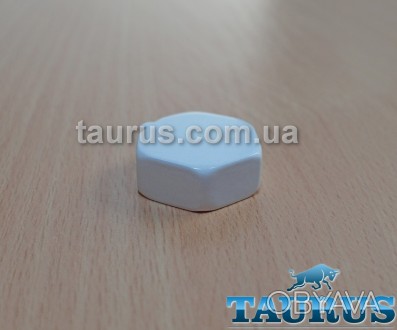 Белая внутренняя заглушка плоской формы ThermoPulse White 1/2": компактных разме. . фото 1