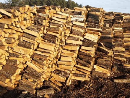 Дрова дубові для опалення Луцьк ціна 0981094084. Луцьк. фото 1 Дрова дубові для опалення Луцьк ціна 0981094084. Луцьк. фото 1