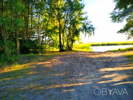 Земельна ділянка на березі р. Дніпро, загальною площею – 21,8 сот., яка знаходит. . фото 1
