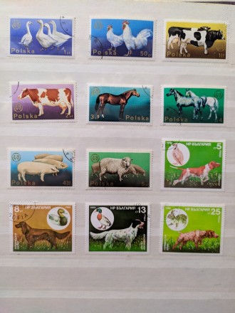 В коллекцию !!!
Наборы марок по теме " Фауна ". Животные.
Стоимость марки от 4. . фото 10