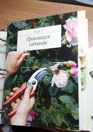 Альбом «Сад моей мечты», сброшюрованный скоросшивателями, состоит из. . фото 6