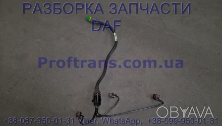 1677541 Проводка форсунок 1-2-3 цилиндр Daf CF 85.
Proftrans.com.ua новые и б/у. . фото 1