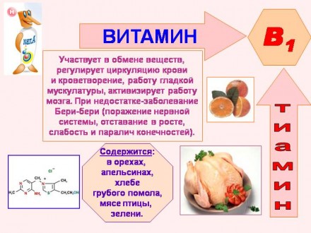 Витамин B-1 является членом семейства витаминов B, которые содержится в злаках, . . фото 3