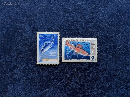 В коллекцию !!!
Подборка марок. Рыбы.
1. Марка -"Сёига". 1962 год. С. . фото 1