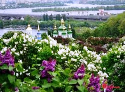 Земельный участок в Центре на ул. Соловцева. Площадь участка 24 соток. Киев.. Київ. фото 1 Земельный участок в Центре на ул. Соловцева. Площадь участка 24 соток. Киев.. Київ. фото 1