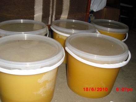 Продам натуральний мед зі своєї пасіки, різнотрав'я -,яблуня,груша,акація,л. . фото 2