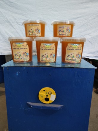 Продам натуральний мед зі своєї пасіки, різнотрав'я -,яблуня,груша,акація,л. . фото 5