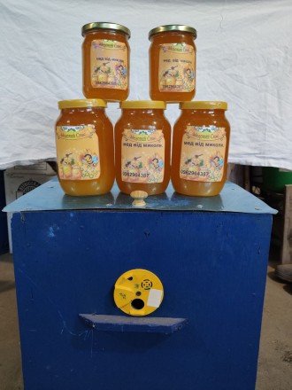 Продам натуральний мед зі своєї пасіки, різнотрав'я -,яблуня,груша,акація,л. . фото 4