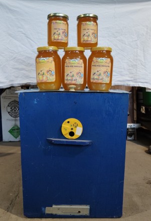 Продам натуральний мед зі своєї пасіки, різнотрав'я -,яблуня,груша,акація,л. . фото 8