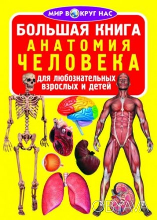 Книга "Большая книга. Анатомия человека". В этой книге популярно рассказано о ст. . фото 1