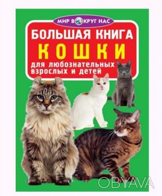 Книга "Большая книга. Кошки". В книге популярно рассказано разных породах кошек,. . фото 1