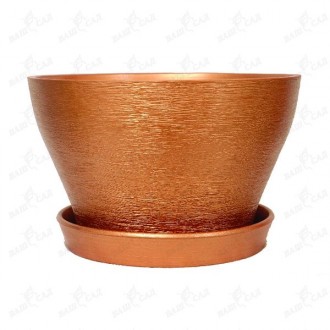 Катальпа бигнониевидная "Ауреа". Одесса. фото 1