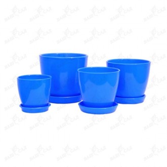 Катальпа бигнониевидная "Ауреа". Одесса. фото 1