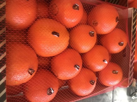 Прямые поставки апельсин из Испании
Любые объемы
Высокое качество
Будем рады . . фото 4