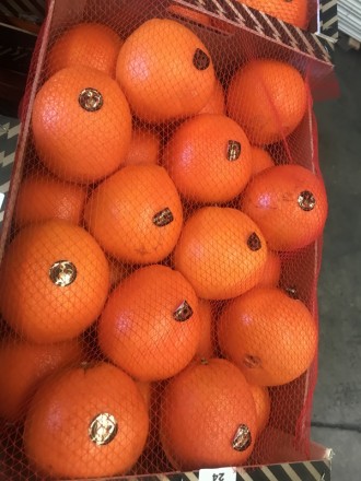 Прямые поставки апельсин из Испании
Любые объемы
Высокое качество
Будем рады . . фото 3