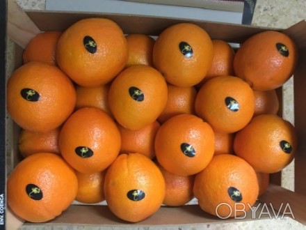 Прямые поставки апельсин из Испании
Любые объемы
Высокое качество
Будем рады . . фото 1