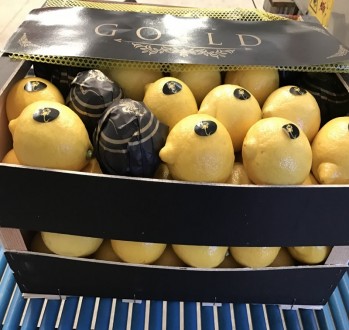 Прямые поставки лимонов  из Испании
Любые объемы
Высокое качество
Будем рады . . фото 2