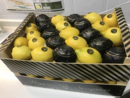 Прямые поставки лимонов  из Испании
Любые объемы
Высокое качество
Будем рады . . фото 4