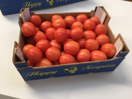 Прямые поставки томат из Испании!
Высокое качество!
Любые объемы!
Будем рады . . фото 2