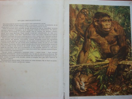 Альбом цветных рисунков с комментариями чешского издания 1960-го года, о жизни п. . фото 4