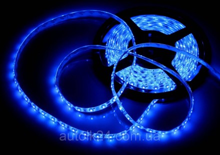 Светодиодная Led лента SMD 3528 24V (влагозащитная) 5м, Синий. Житомир. фото 1 Светодиодная Led лента SMD 3528 24V (влагозащитная) 5м, Синий. Житомир. фото 1