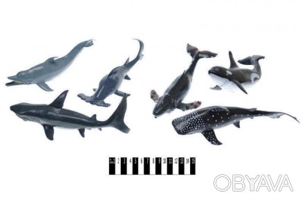 Набір морські тварини, рибки (дельфін, косатка, акула, кит, 6шт в наборі) HY8-00. . фото 1