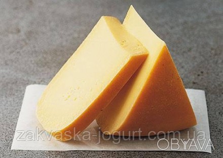 Сыр «Гауда» (10-12 литров) только закваска! (фермент покупается отде. . фото 1