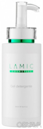 
Очищающий гель «Gel Detergente» от итальянского бренда-производителя «Lamic Cos. . фото 1