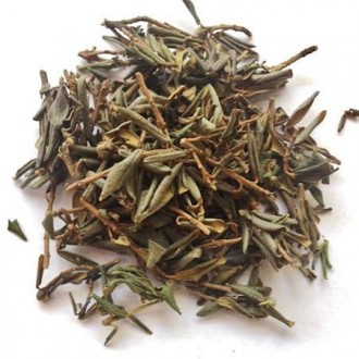 Саган Дайля. Харьков. фото 1