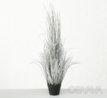 Декоративное растение (трава) в горшке
Размер h116см. . фото 1