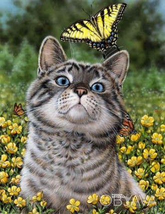 Набор алмазной мозаики "Кот с бабочкой"
Вид камней: Квадратные
Зашивка: Полная
Р. . фото 1