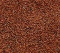 Окатанный, окрашенный песок различных фракций (от 0,2 до 5,0 мм), предназначен д. . фото 4
