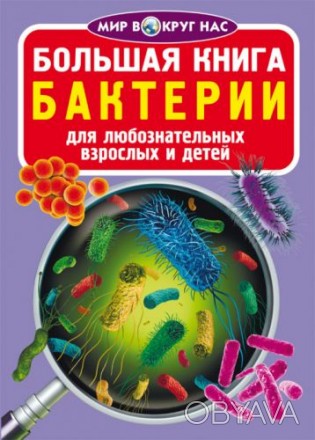  Книга "Большая книга. Бактерии". В этой книге рассказывается о разных видах бак. . фото 1