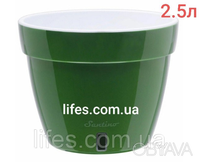 ᐈ Вазон Асти пластик зеленый 2.5л ᐈ Одесса 50 ГРН - OBYAVA.ua™ №13179908