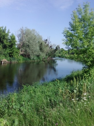 Дача - хвойний ліс та річка Рось ! Сухоліси .. Сухоліси. фото 1 Дача - хвойний ліс та річка Рось ! Сухоліси .. Сухоліси. фото 1
